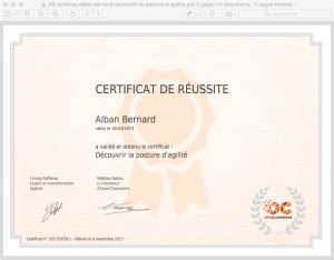 08 certificat_alban-bernard_decouvrir-la-posture-d-agilite 88%